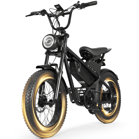 Naipo Electric Bike for Adults,350W 20mph Mountain Ebike,48V 13Ah 20" Fat Tire Electric Bicycle Fork Suspension UL2849 - NAIPO