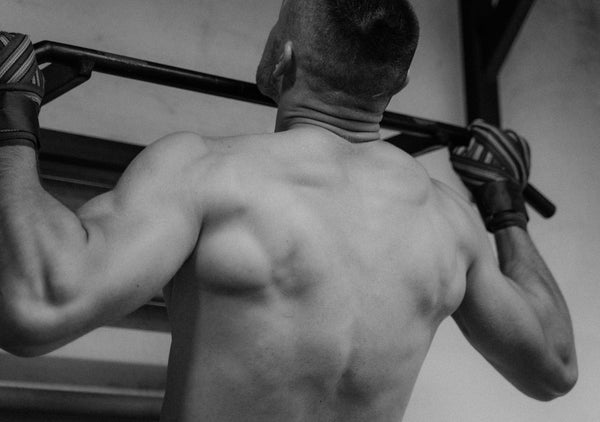 Understanding The Superficial Back Muscles - NAIPO