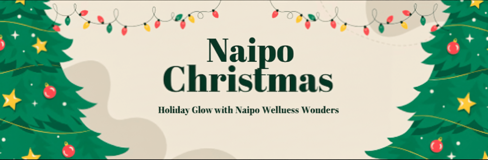 When NAIPO Puts On a Santa Hat — A Christmas Wonderland You Don’t Want to Miss - NAIPO