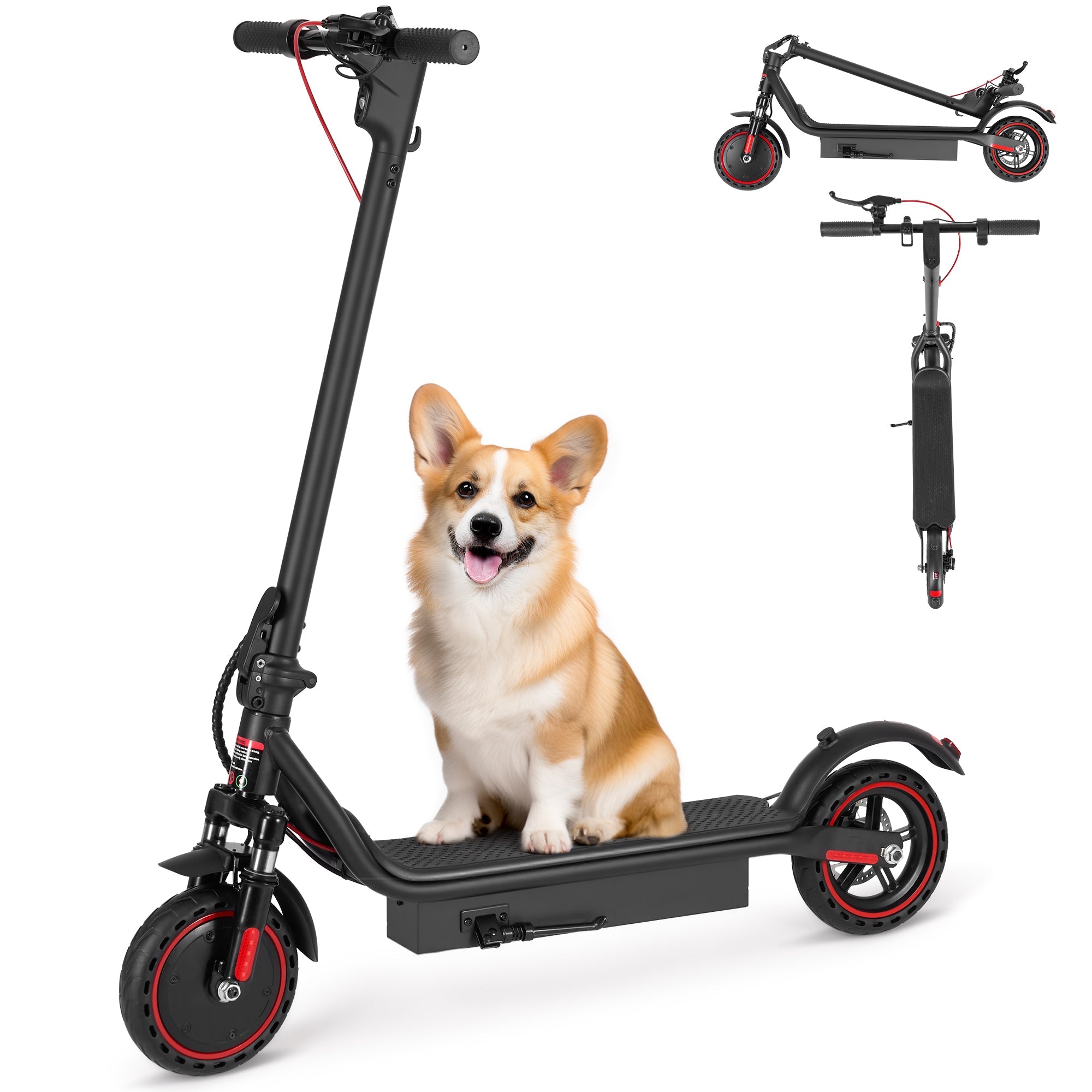 Naipo Electric Scooter - 8.5" Solid Tires, 350W Motor Up to 16MPH/25km/h and 35km/21 - 24Miles Long - Range Portable Commuting Foldable E Scooter for Adults with Double Braking System, Black - NAIPO