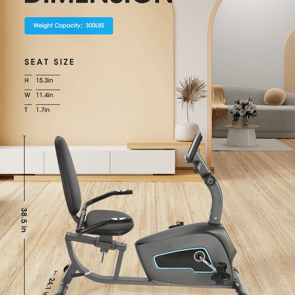 Recumbent Exercise Bike Indoor Cycling Stationary Bike with Adjustable Seat and Resistance, Pulse Monitor/Phone Holder (Seat Height Adjustment by Lever)