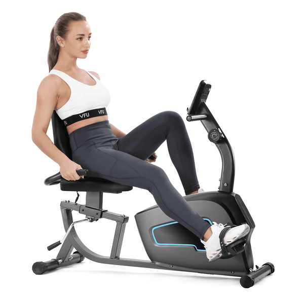 Recumbent Exercise Bike Indoor Cycling Stationary Bike with Adjustable Seat and Resistance, Pulse Monitor/Phone Holder (Seat Height Adjustment by Lever) - NAIPO